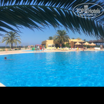 фото из отзыва ID 1821759