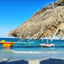 фото из отзыва ID 1821759