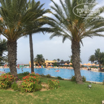 фото из отзыва ID 1821759