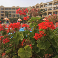 фото из отзыва ID 1821759