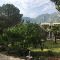 фото из отзыва ID 1821764