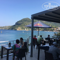 фото из отзыва ID 1821764