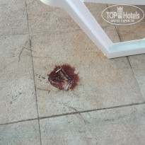 фото из отзыва ID 1821774