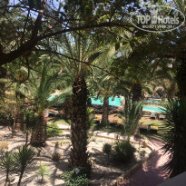 фото из отзыва ID 1821798