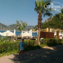 фото из отзыва ID 1821827