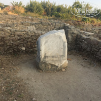 фото из отзыва ID 1821846