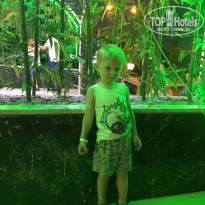 фото из отзыва ID 1821846