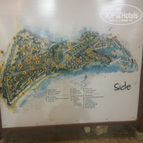 фото из отзыва ID 1821846