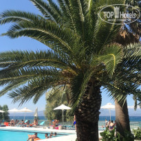 фото из отзыва ID 1821925