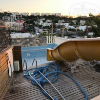 фото из отзыва ID 1821379