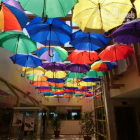 фото из отзыва ID 1822113