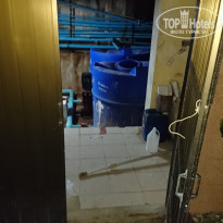 фото из отзыва ID 1822227