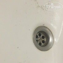 фото из отзыва ID 1822308