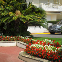 фото из отзыва ID 1822425