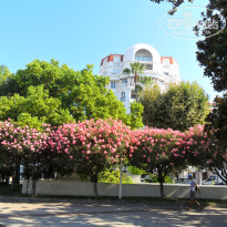 фото из отзыва ID 1822425