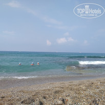 фото из отзыва ID 1822548