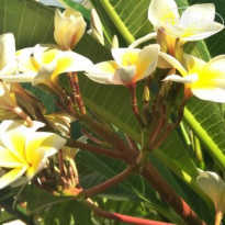 фото из отзыва ID 1822646