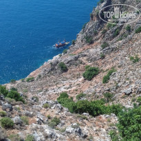 фото из отзыва ID 1822665