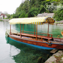 фото из отзыва ID 1822745