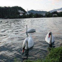 фото из отзыва ID 1822745