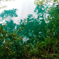 фото из отзыва ID 1822745