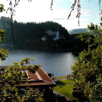 фото из отзыва ID 1822745