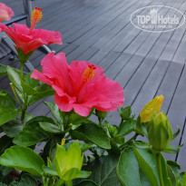 фото из отзыва ID 1822781