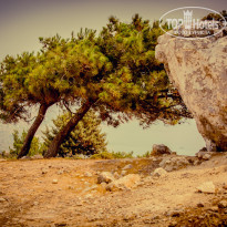 фото из отзыва ID 1822900