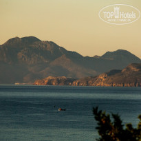 фото из отзыва ID 1822900