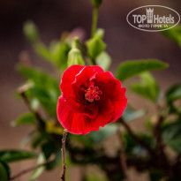 фото из отзыва ID 1822900