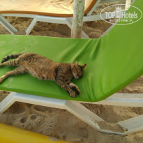 фото из отзыва ID 1822905