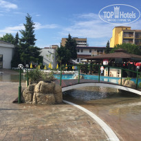 фото из отзыва ID 1823067