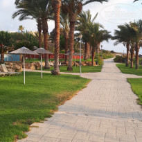 фото из отзыва ID 1823146