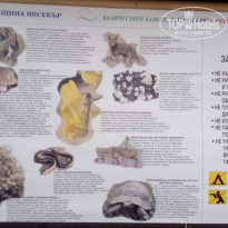 фото из отзыва ID 1823157