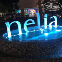 фото из отзыва ID 1823198