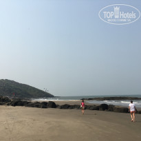 фото из отзыва ID 1823236