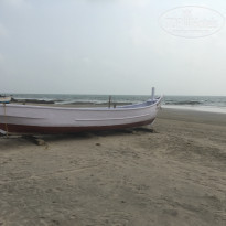 фото из отзыва ID 1823236