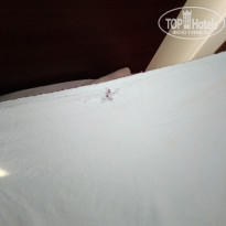 фото из отзыва ID 1823316