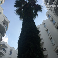 фото из отзыва ID 1823366