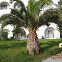 фото из отзыва ID 1823308