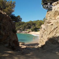 фото из отзыва ID 1823572