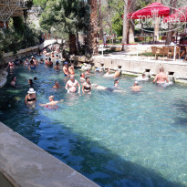 фото из отзыва ID 1823634