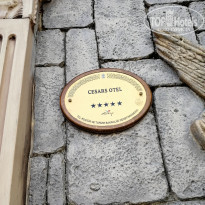 фото из отзыва ID 1823744