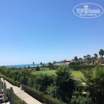 фото из отзыва ID 1823764