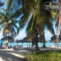 фото из отзыва ID 1823930