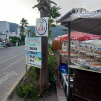 фото из отзыва ID 1823833