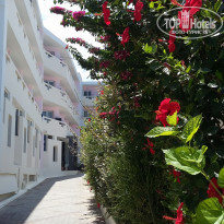 фото из отзыва ID 1824023