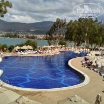 фото из отзыва ID 1822327