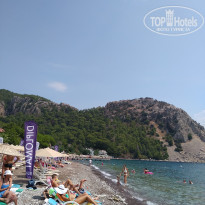 фото из отзыва ID 1824230