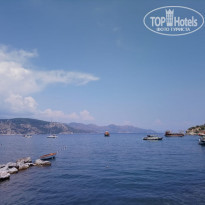 фото из отзыва ID 1824230